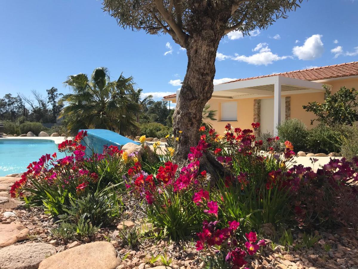 L'Hacienda Piscine chauffée à 28, spa, boulodrome et court de Tennis privés, 2 villas indépendantes Porto Vecchio Exterior foto